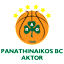 panathinaikos-500x500_neu