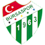 Bursaspor Kulübü