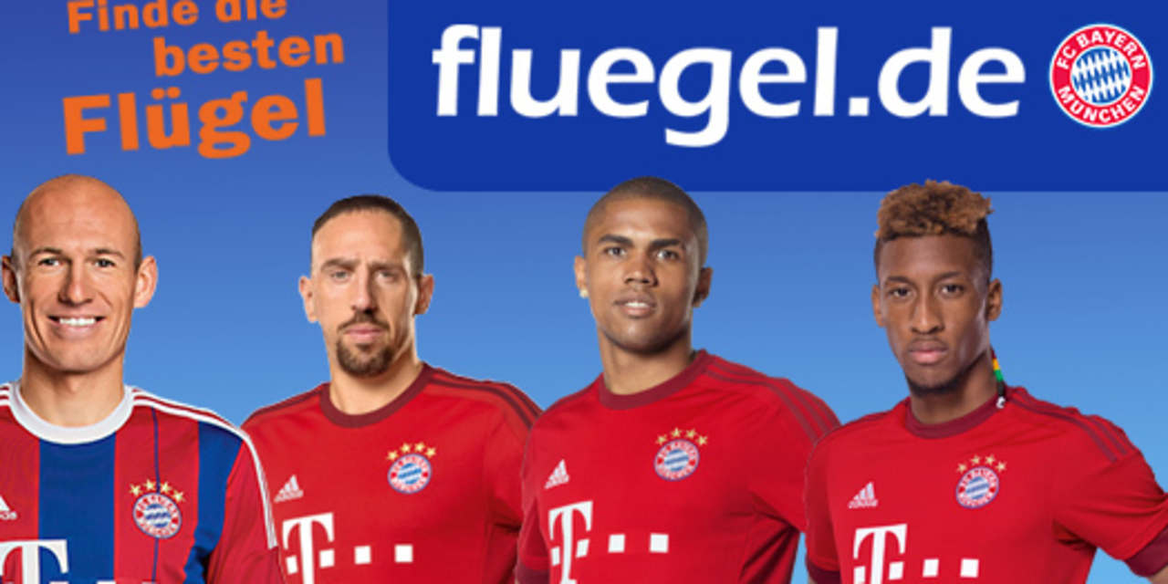 fluegel_de-524x295