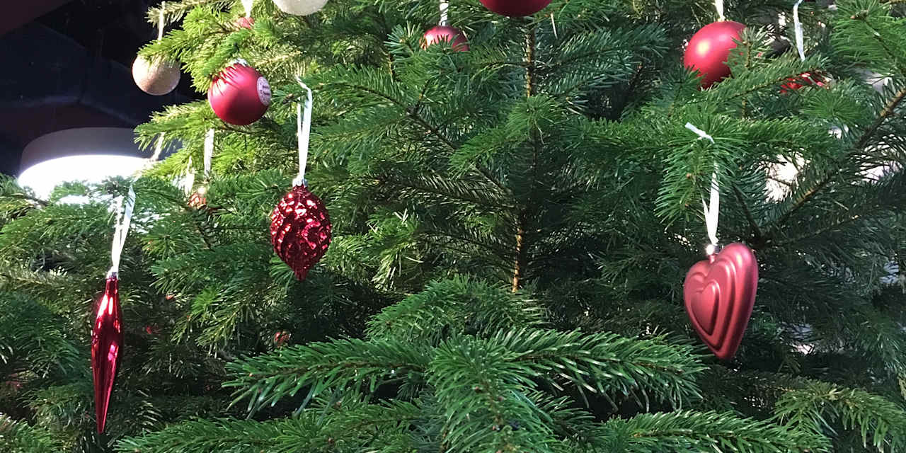 weihnachtsbaum