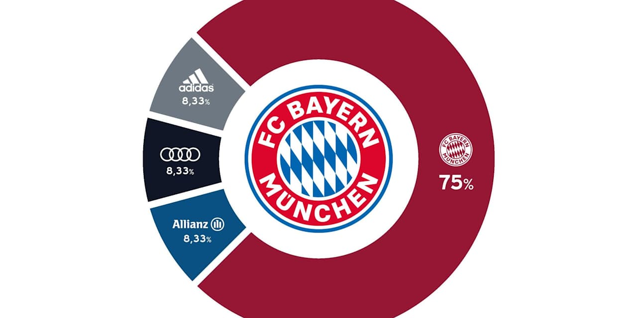 anteilseigner_grafik
