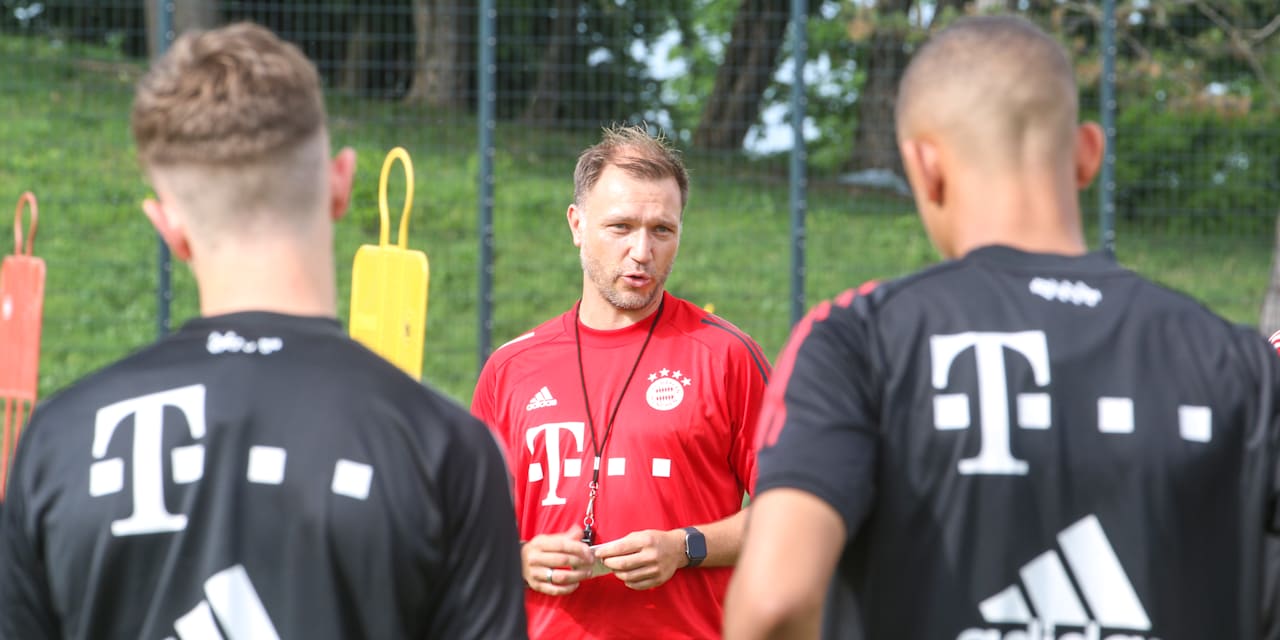 header_Ergenis_Roundup