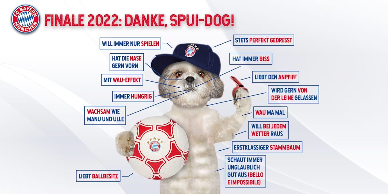 Spui-Dog-2022