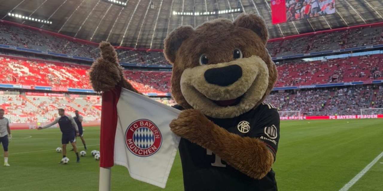 Berni an der Eckfahne in der Allianz Arena.