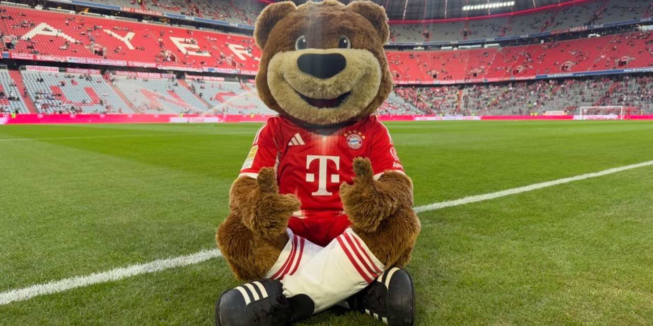 Berni an der Eckfahne in der Allianz Arena.