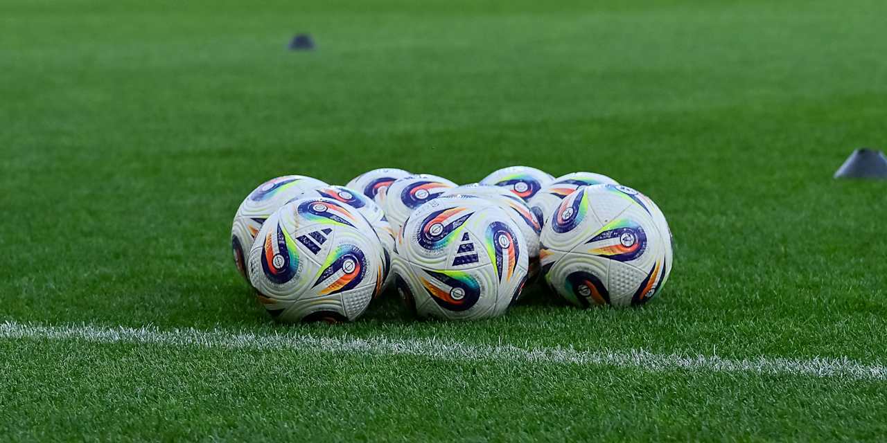 Bälle der Frauen-Bundesliga auf einem Rasen liegend.