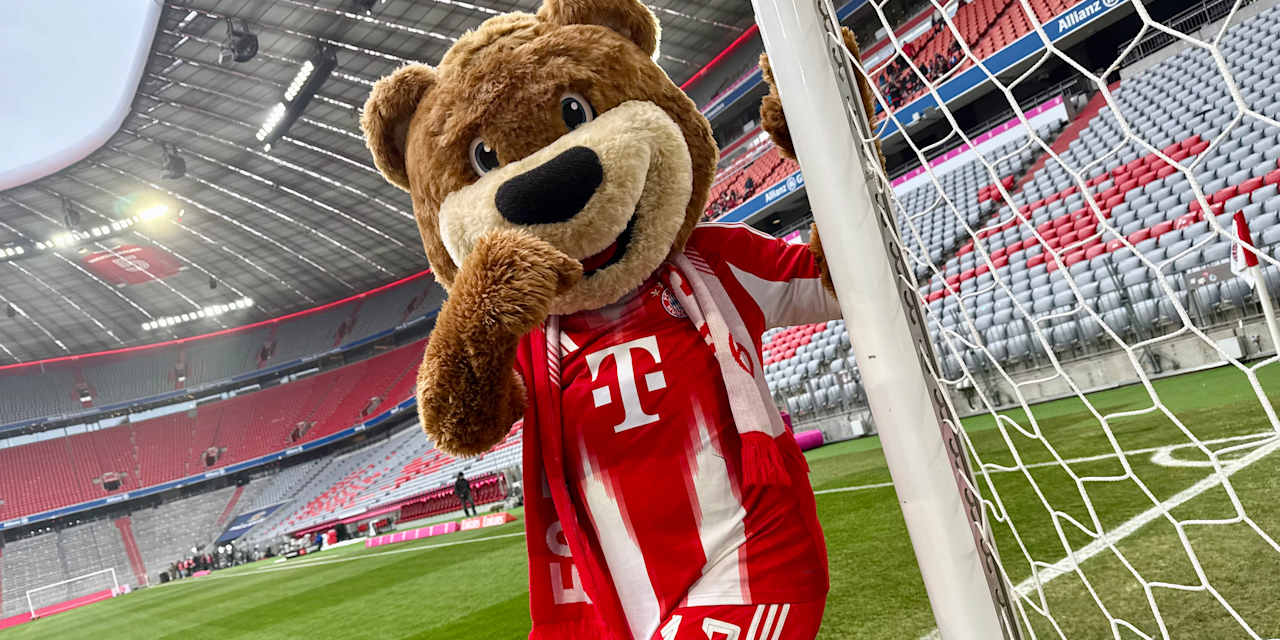 Berni in der Allianz Arena