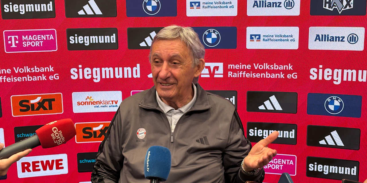 Svetislav Pesic Media Talk