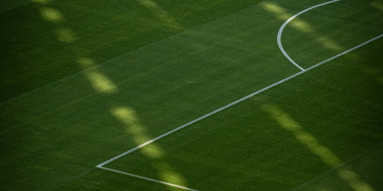 Ausschnitt eines Fußballfelds mit angeschnittenem Strafraum