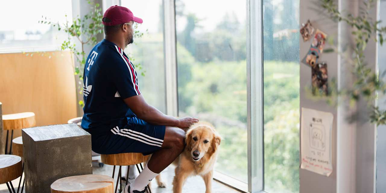 Cheftrainer Vincent Kompany sitzt auf einem Stuhl und streichelt einen Hund auf der Mandarinen- und Orangenfarm auf der Summer Tour in Jeju