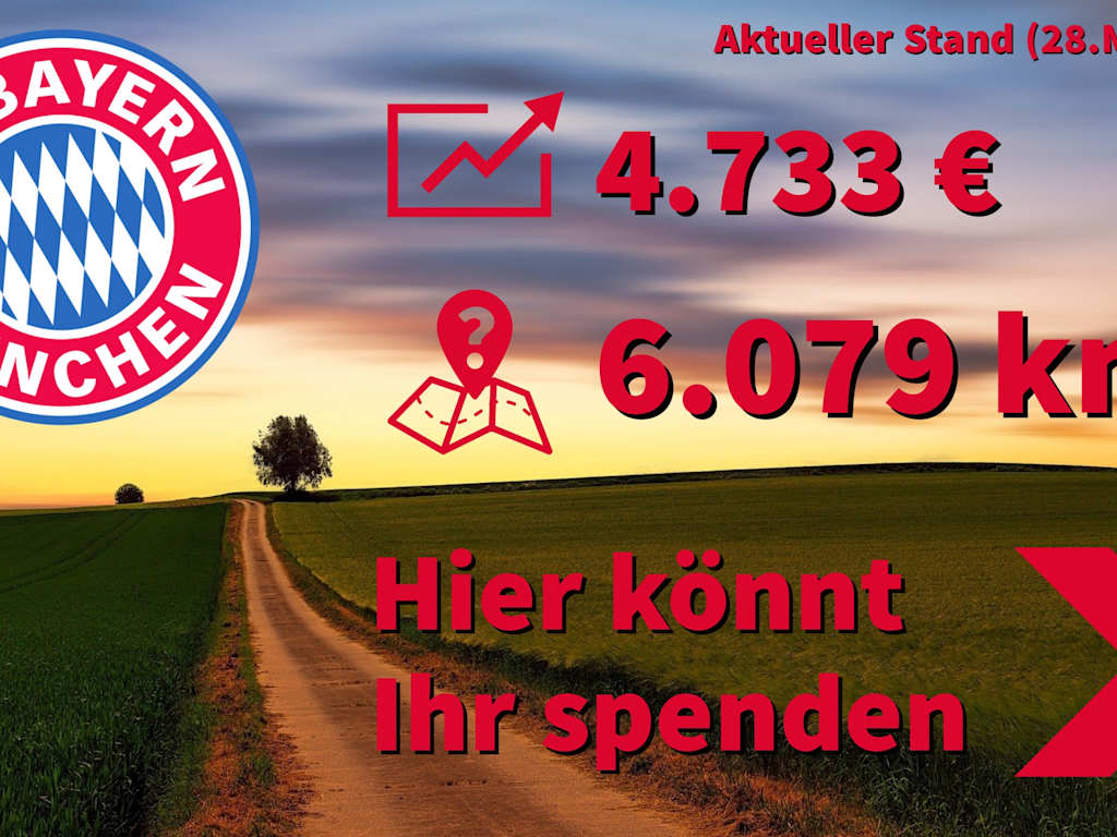 Spendenknopf_28