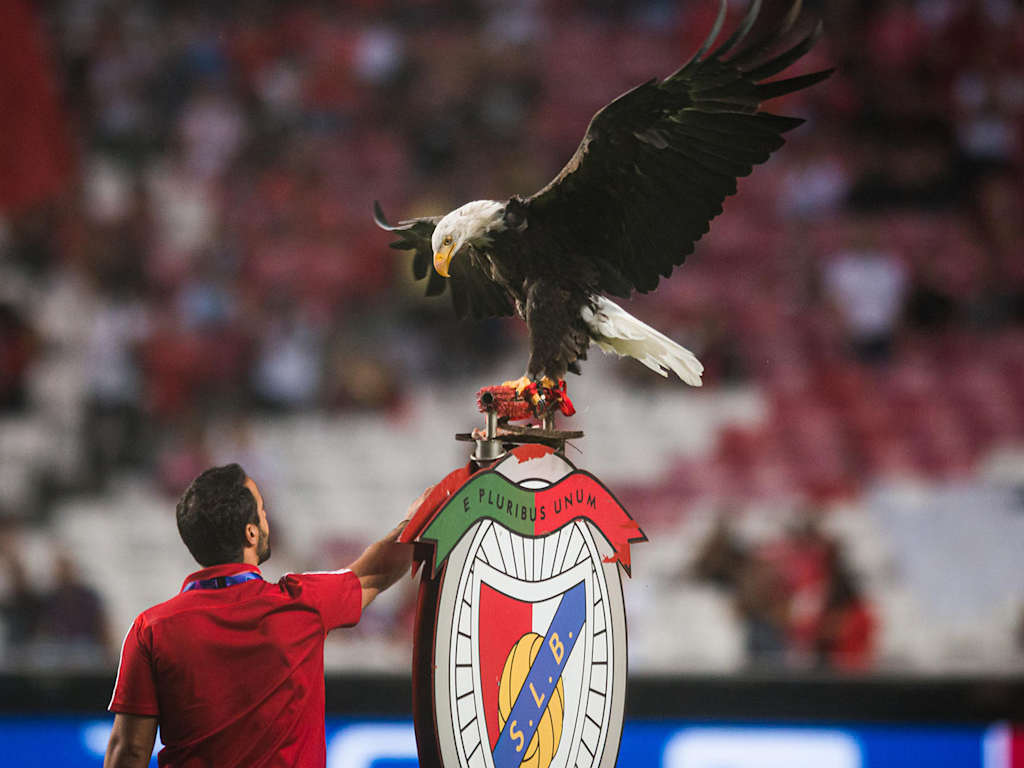 190917_Benfica_Adler_IMA