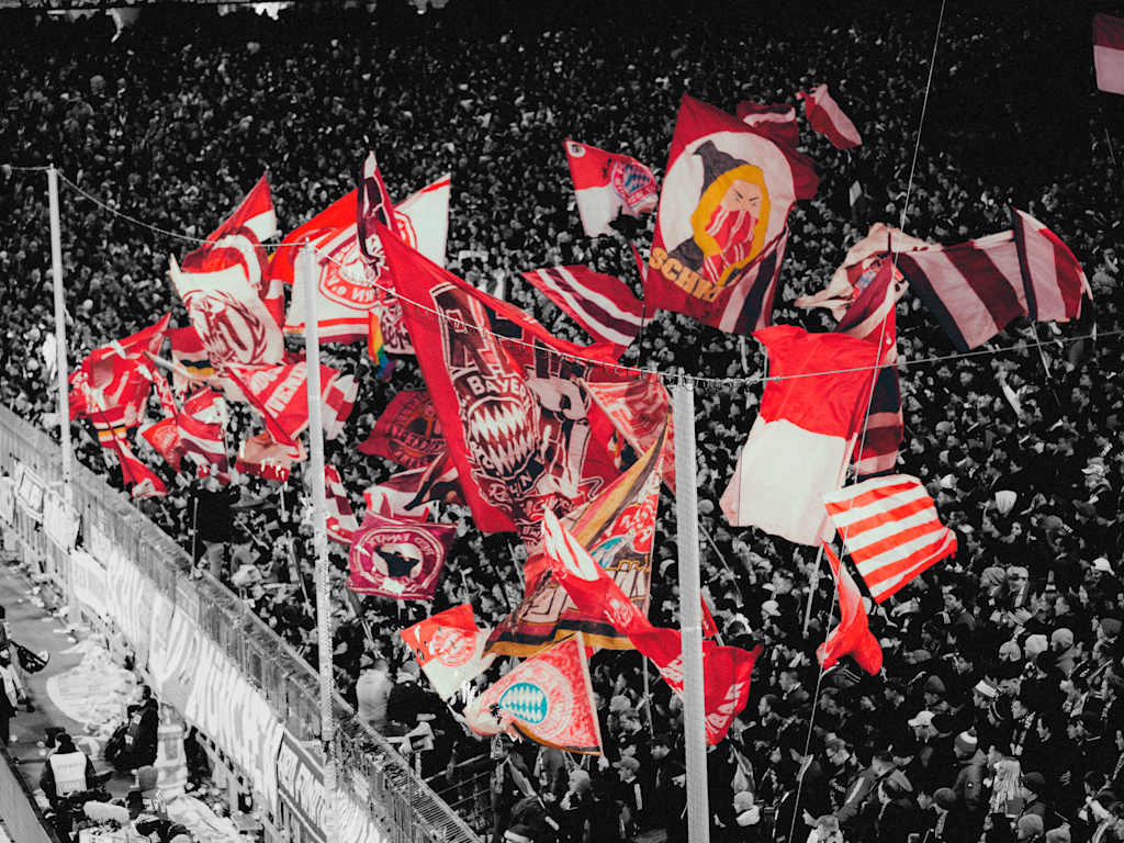 Fans12