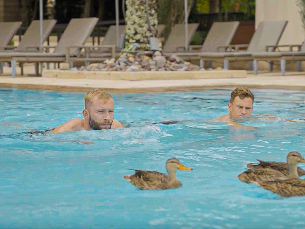 Konrad Laimer and Joshua Kimmich swimming in the pool with ducks in Orlando