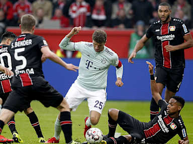 lev_fcb_05_ima_020219