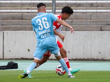 FC  Bayern Amateure