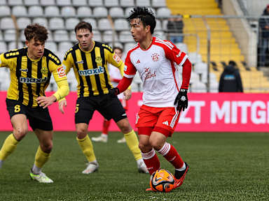 FC Bayern Amateure