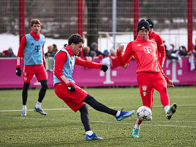 FC Bayern open training session at Säbener Straße