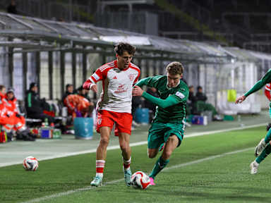 FC Bayern Amateure
