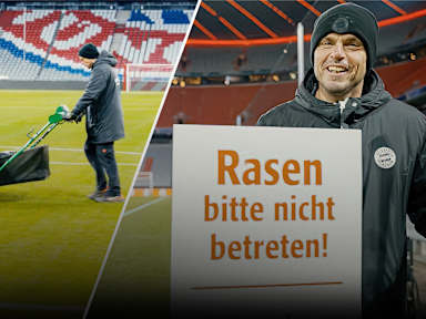 241128-greenkeeper-psg