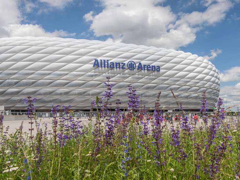 Blumenwiese vor der Allianz Arena