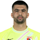 Player page of Nediljko Labrovic