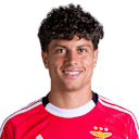 Player page of Rafael Luís