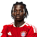 Spielerseite von Oluwaseyi Wilson
