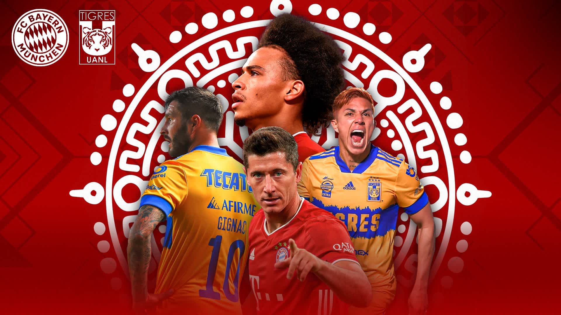 Bayern tigres discount