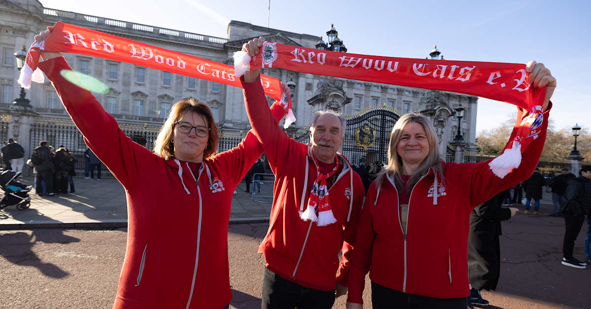 Red Wood Cats: FC Bayern fan love and social commitment in one