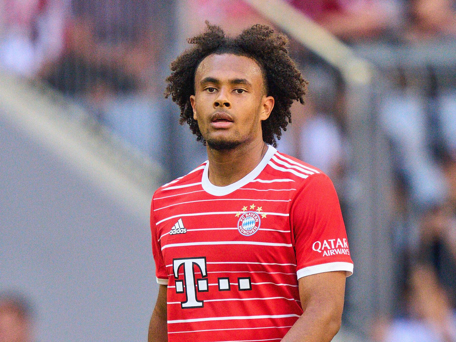 Joshua Zirkzee pasa del Bayern al Bolonia