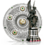 Meisterschale und Victoria Pokal