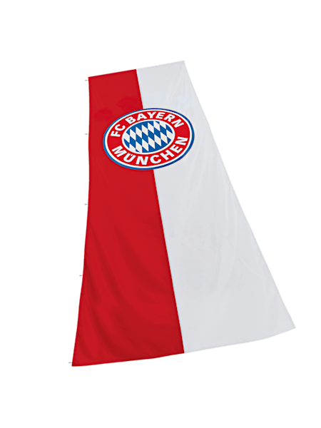 Hoisting Flag Logo XL Hoisting Flag Logo XL
