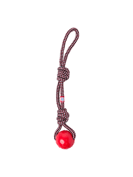 Toy Ball With Throwing Rope Toy Ball With Throwing Rope