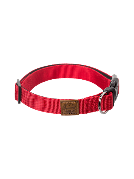Dog Collar S/M (30-45cm) Dog Collar S/M (30-45cm)