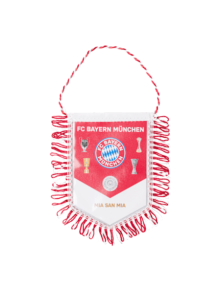 Pennant Banner Pennant Banner