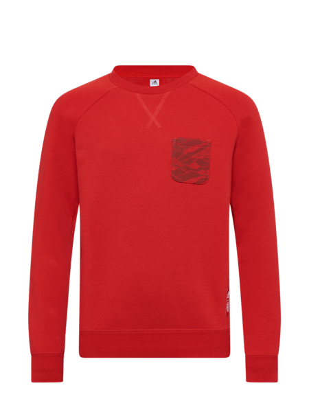 adidas Lifestyle Graphic Kinder Sweatshirt adidas Lifestyle Graphic Kinder Sweatshirt