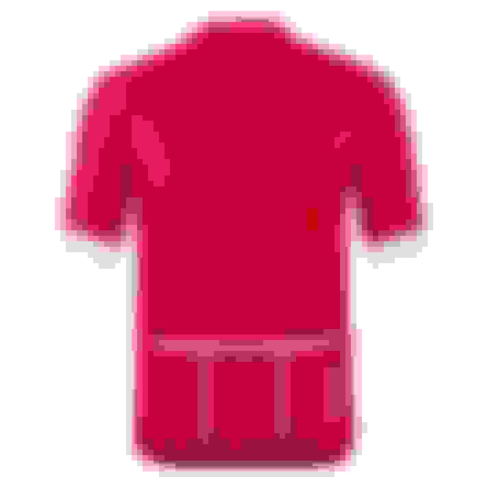FC Bayern M/ünchen Herren Radtrikot Fahrrad Trikot rot