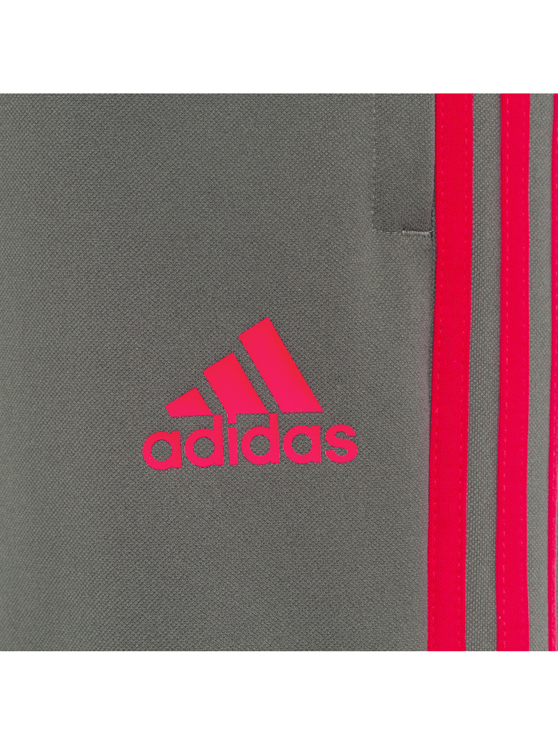 adidas trainer logo