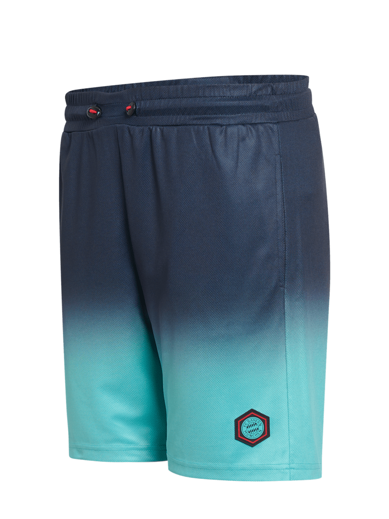 Pantalones cortos de entrenamiento del FCB Sports | Tienda oficial del FC  Bayern Múnich