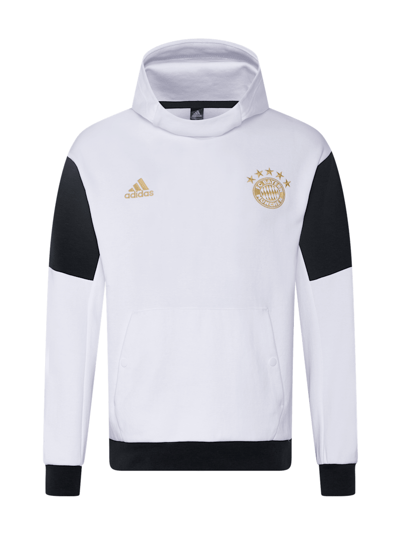 Fc bayern hoodie herren best sale