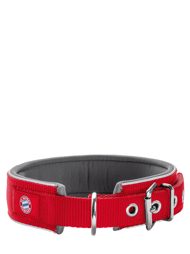 Bayern munich dog jersey discount