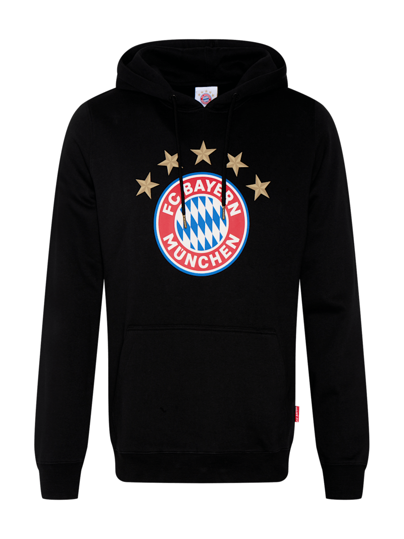 Fc bayern hoodie herren best sale