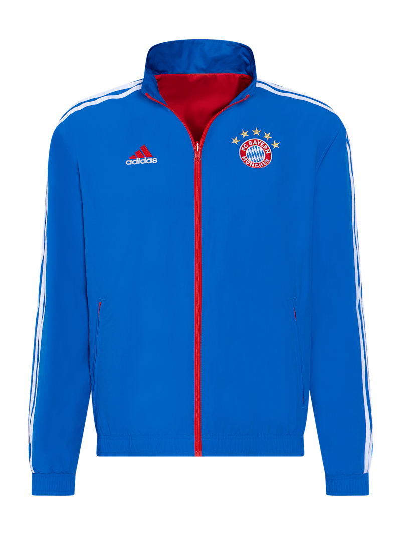 Men Anthem jacket blue Official FC Bayern Munich Store