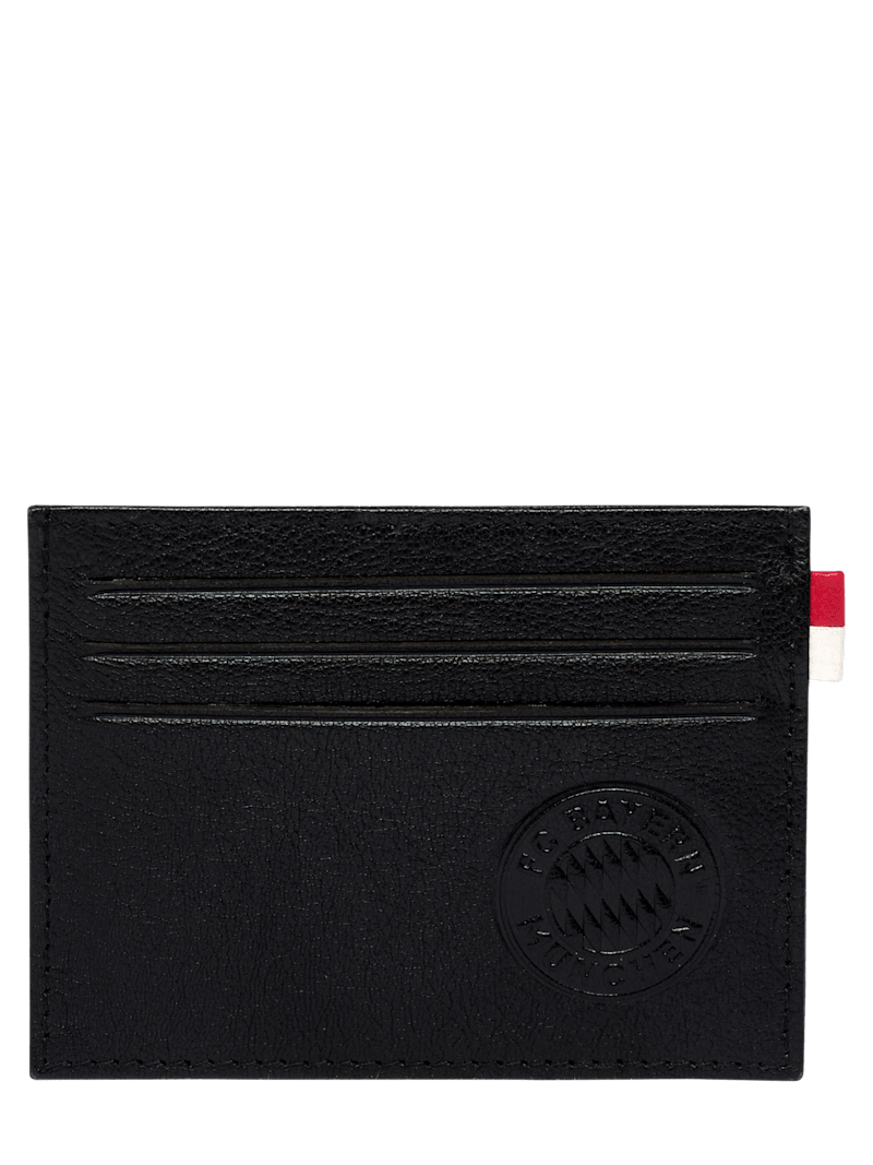 8734-credit-card-holder-impression-europe-eu-direct