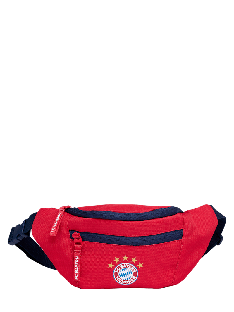 The bay 2025 fanny pack
