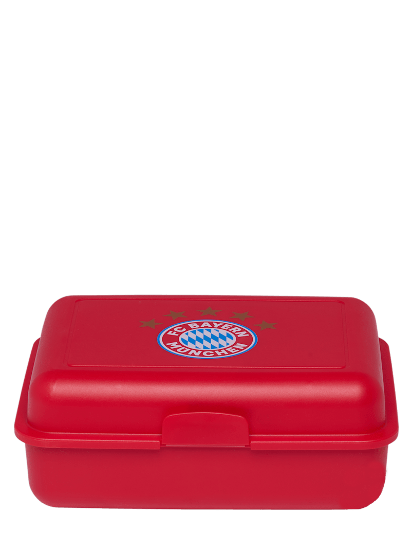 PPT - FC Bayern München PowerPoint Presentation, free download - ID:3132690