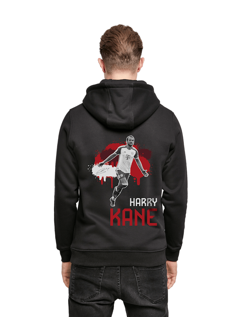 Kane hoodie herren