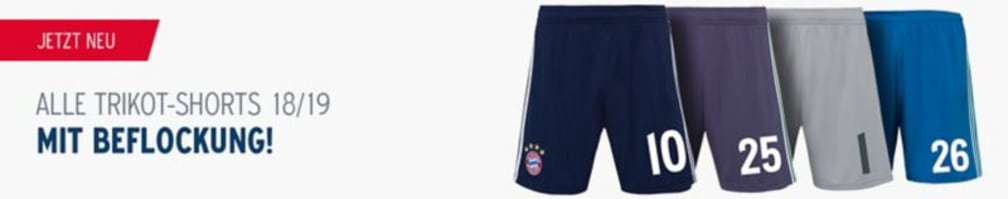vorteilsbanner-beflockung-shorts-de-neu