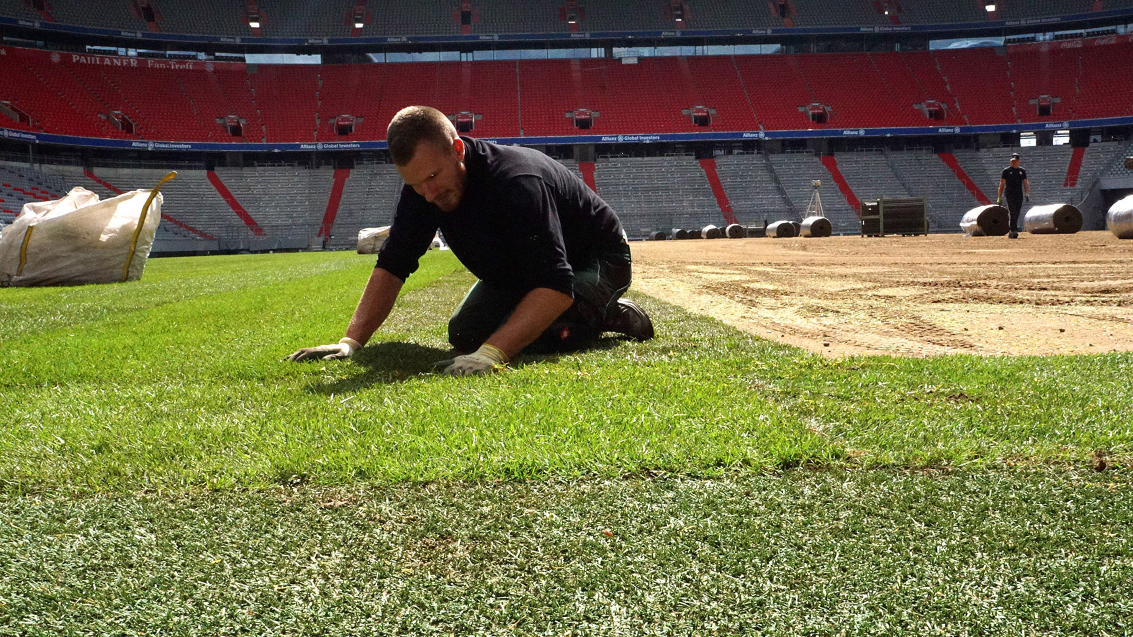 novyj gazon na alyanc arene